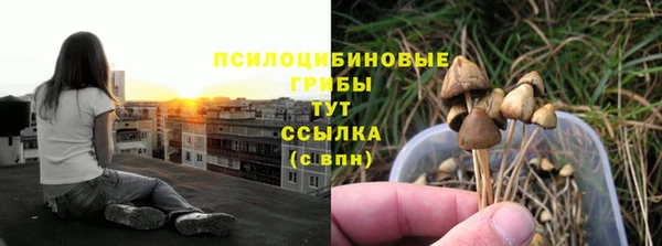 спиды Богданович
