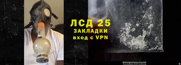 индика Бугульма