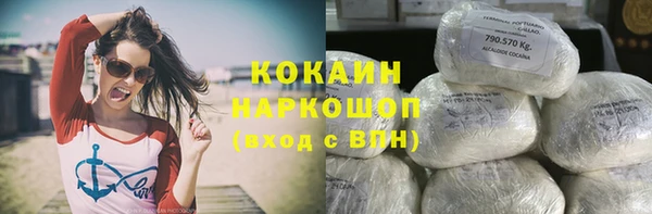 стафф Бородино