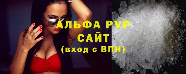 стафф Бородино
