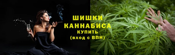 стафф Бородино