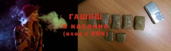 индика Бугульма