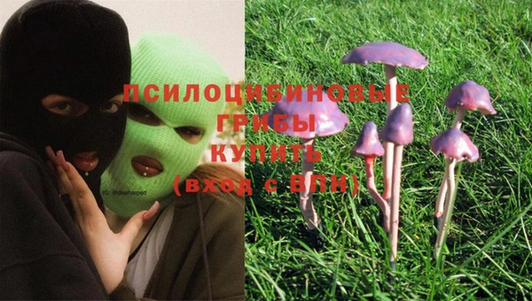 стафф Бронницы