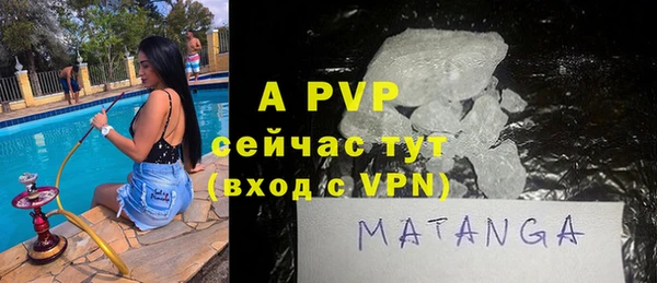 стафф Бородино